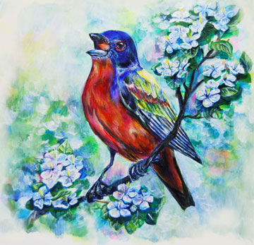 painted bunting