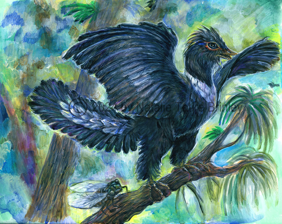 Archaeopteryx